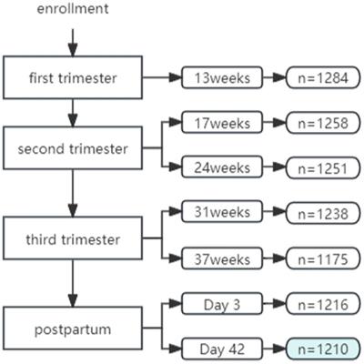 Decision tree-Markov model of perinatal depression screening: a cost–utility analysis